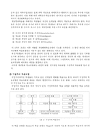 [교육론] 과학적 탐구를 위한 구성주의 교수-학습 이론-3