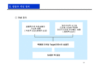 [싱글즈 마케팅] 싱글즈 마케팅 전략-15