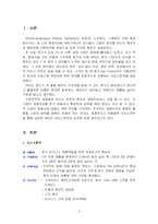 [서비스경영론] 스칸디나비아 항공(SAS)의 서비스 전략, MOT-2
