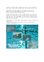 [독후감,깨진유리창의법칙] 깨진 유리창의 법칙-3