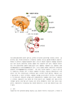 [방송대] 허혈성 심장질환과 뇌졸중의 발생현황과 증상 및 식사요법-10