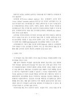 [광고] 우리나라 기업의 효율적인 국제광고 및 PR의 개선방안-11