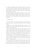 [광고] 우리나라 기업의 효율적인 국제광고 및 PR의 개선방안-12
