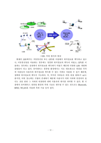[정보통신] 유비쿼터스 컴퓨팅 환경에서의 LBS 발전방향-14