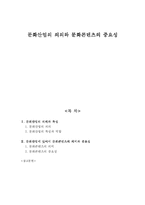 [문화산업] 문화산업의 의의와 문화콘텐츠의 중요성-1