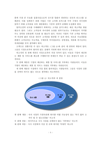[블루오션] 블루오션 전략을 위한 향후 방향-6