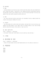 [광고판촉론] 광고판촉론 - 부산외국어대학교 IMC 기획 보고서-13
