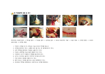 [간호학] 제왕절개 케이스, 사례연구-3