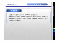 [마케팅원론, 국제경영] 아모레퍼시픽-3