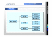 [마케팅원론, 국제경영] 아모레퍼시픽-12