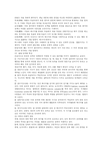 [유아발달과 유아발달이론] 유아발달과 유아발달이론 심층 분석-19