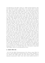 [정보화사회와 정보화정책] 정보화 사회의 도래에 따른 정보화 정책과 정보화 사회의 문제점 및 향후 문제점 해결방안 분석-3