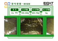 [양식, 넙치, 경영, 겸업, 고용, Kan] 양식경영실태조사-7