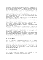 [학교사회사업] 학교사회사업의 필요성, 실천모형과 학교사회사업의 과정 및 향후 학교사회사업 정착 방안 분석-5