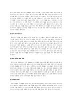 [사회문제] 성형수술열풍(외모지상주의)의 원인과 대책-10