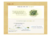 [소비자행동론] [소비자행동론]이니스프리 마케팅전략 제안서(A+리포트)-7