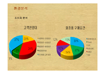 [소비자행동론] [소비자행동론]이니스프리 마케팅전략 제안서(A+리포트)-13