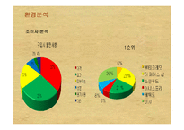 [소비자행동론] [소비자행동론]이니스프리 마케팅전략 제안서(A+리포트)-14