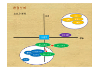 [소비자행동론] [소비자행동론]이니스프리 마케팅전략 제안서(A+리포트)-15