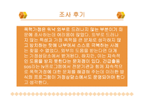 [가정경영론] 폭력가정에 대한 발표-12