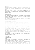 [패션 아울렛 이해와 의류 기업의 유통채널 전략] 패션 아울렛 이해와 의류 기업의 유통채널 전략-4