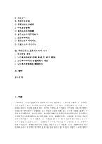 [노인복지정책과 노인복지서비스] 고령화 사회에 따른 노인복지정책(노인복지서비스)의 형성과 내용 및 노인복지정책(노인복지서비스)의 과제 분석-2