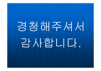 [경영학] 도요타기업전략-14