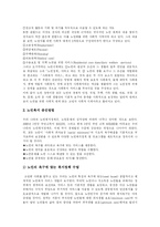 [노인복지와 노인복지정책] 노인문제 대두에 따른 노인복지의 현황과 노인복지법의 개정 및 노인문제 해결을 위한 향후 노인복지정책 분석-17