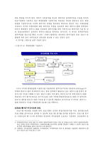 [방송대] 정부회계체제의 수정된 발생주의를 현금주의와 발생주의 비교분석0e-8