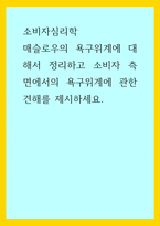 소비자심리학) 매슬로우의 욕구위계에 대해서 정리하고 소비자 측면에서의 욕구위계에 관한 견해를 제시하세요-1
