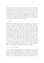 서울대학교 국제대학원 국제학과국제통상전공 학업계획서 BEST 우수-2