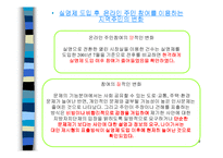 [인터넷실명제] 인터넷실명제-9