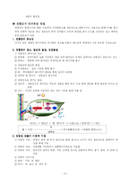 [생명과학] 생명과학의이해-식물의 다양성-13
