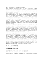 [노인복지와 노인복지정책] 노인복지의 개념과 노인문제 실태 및 노인복지정책의 향후 방향-6