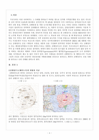 [행정학] 신행정수도, 행복도시 건설의 긍정적인 효과와 지방분권화-3