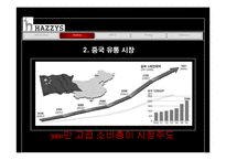 [국제광고] 중국 진출을 위한 해지스(HAZZYS)의 광고 전략-5