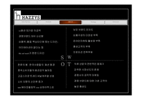 [국제광고] 중국 진출을 위한 해지스(HAZZYS)의 광고 전략-9