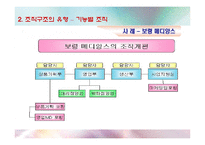 조직 구조와 설계-8