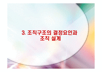 조직 구조와 설계-17