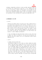[국제마케팅] 오로라월드의 국제경영-16