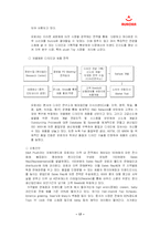 [국제마케팅] 오로라월드의 국제경영-17