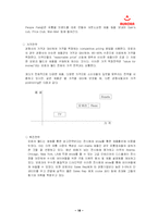 [국제마케팅] 오로라월드의 국제경영-18