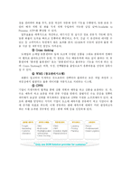 [물류산업] 한진택배와 페덱스 비교분석 -물류 사업 계획-19