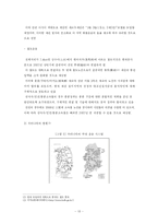 [국제물류관리] 홍콩의 물류산업(항만관리, 내륙운송, 항공운송)-14
