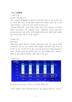[경영 졸업논문] `처음처럼`의 마케팅 전략-8