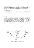 [신소재공학실험계획서] XRD를 이용한 BaTiO3분말의 구조분석-9