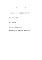 [학습장애아 지도안] 학습장애 대상학생을 위한 수학 지도 프로그램-2