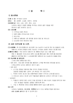 [사업계획서] 인터넷 여행사-3