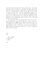 눌라치타 레포트-5