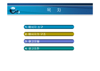 광고물 전략과 성공적인 메시지-2